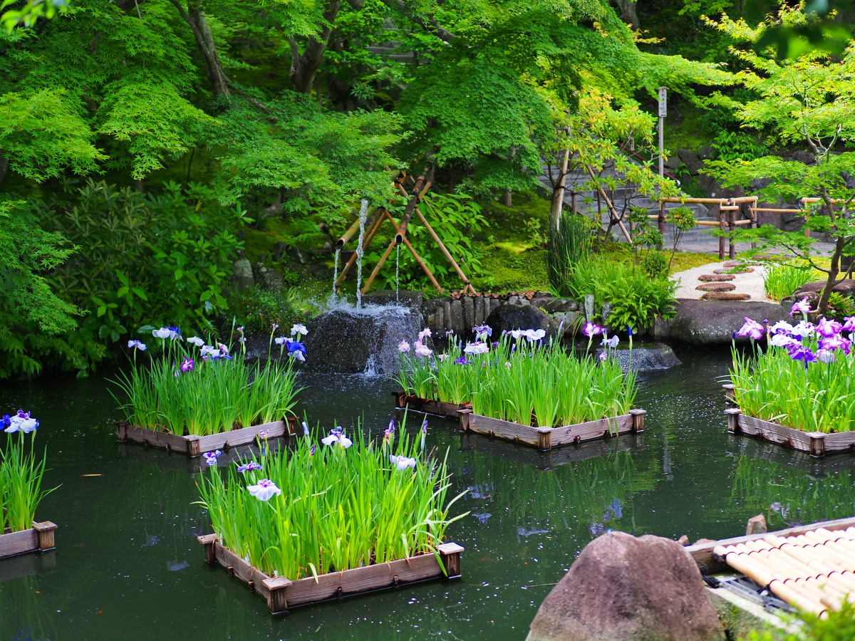f:id:otaku4160:20190629143354j:plain f:id:otaku4160:20190629143354j:plain