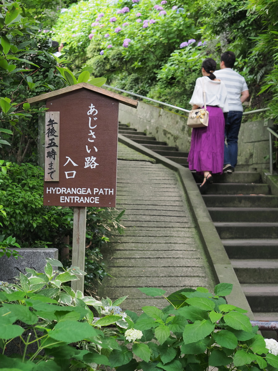 f:id:otaku4160:20190629143411j:plain f:id:otaku4160:20190629143411j:plain