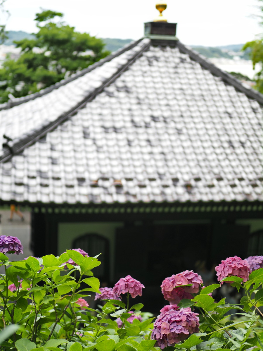 f:id:otaku4160:20190629143422j:plain f:id:otaku4160:20190629143422j:plain