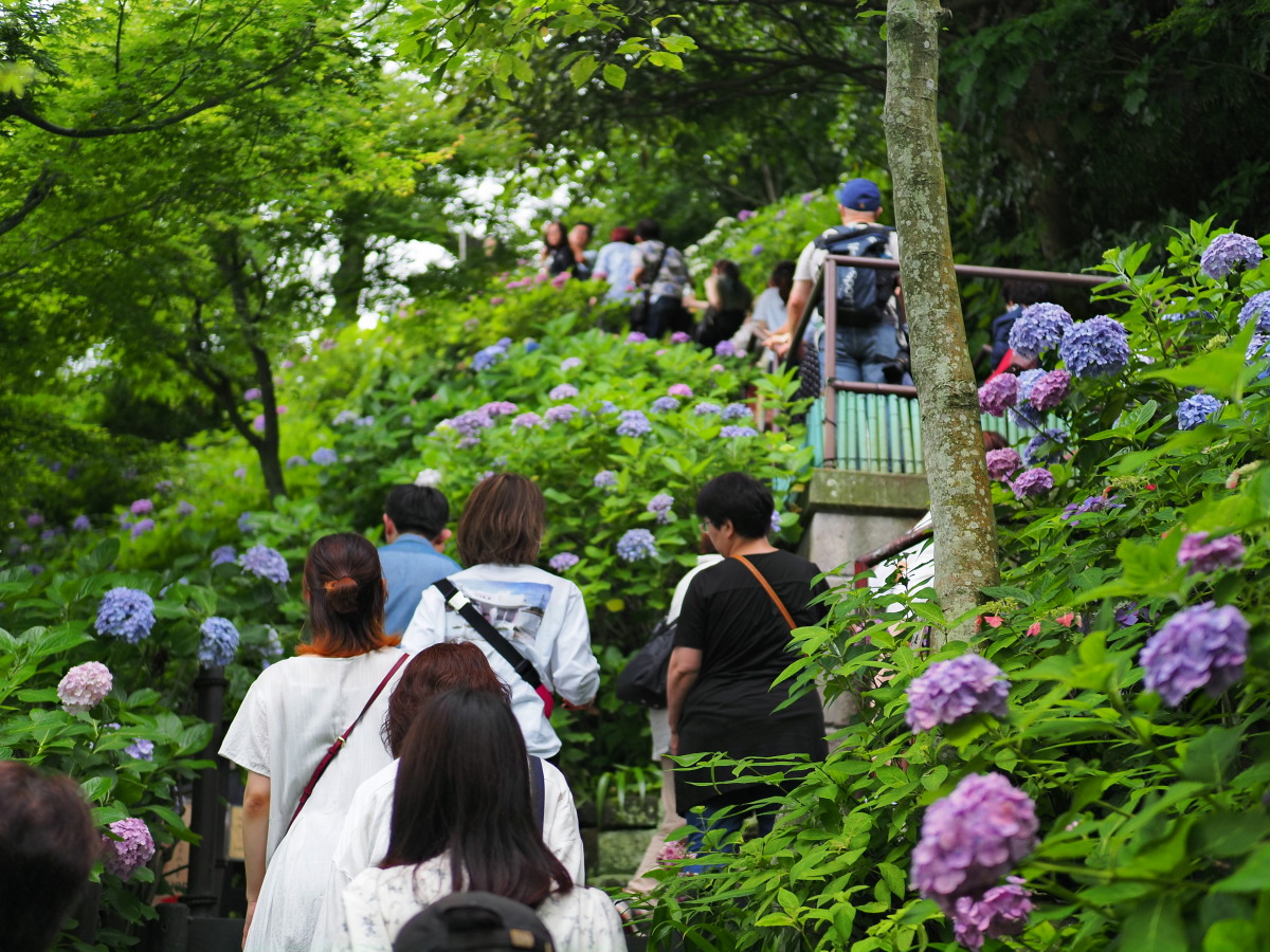 f:id:otaku4160:20190629143425j:plain f:id:otaku4160:20190629143425j:plain