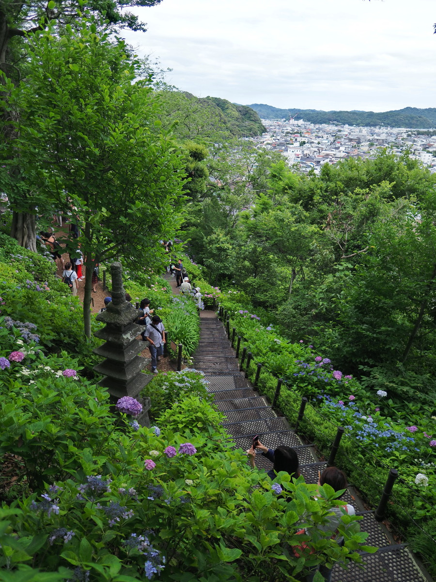 f:id:otaku4160:20190629143435j:plain f:id:otaku4160:20190629143435j:plain