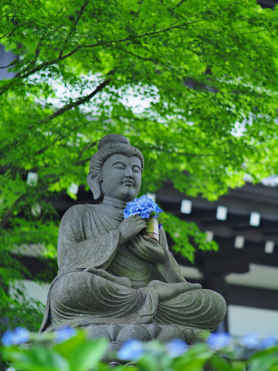 f:id:otaku4160:20190629143503j:plain f:id:otaku4160:20190629143503j:plain