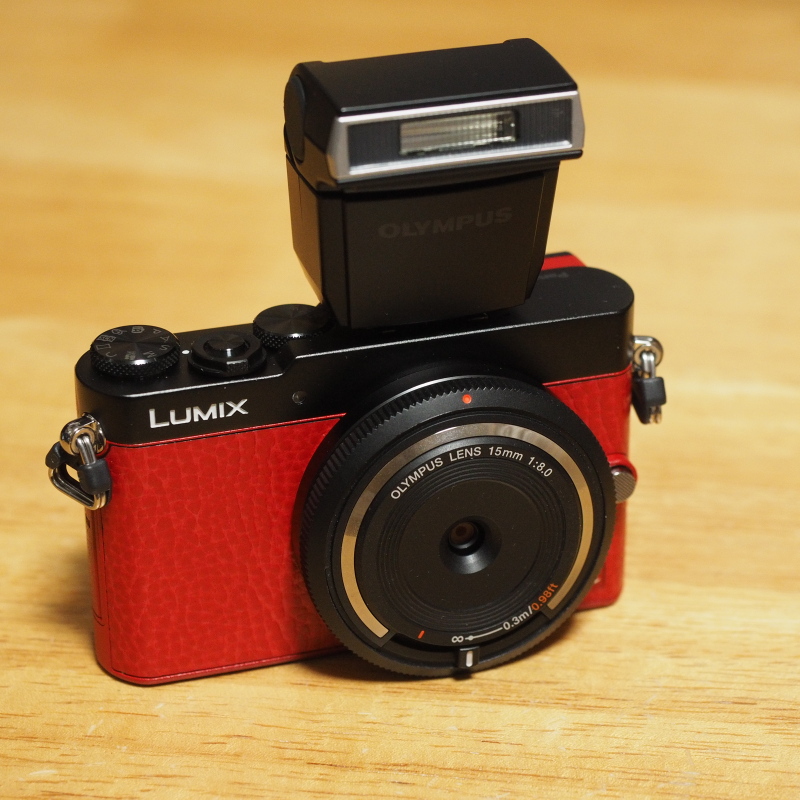 今更「LUMIX GM5 レンズキット (レッド)」購入。 - 旧いまここに