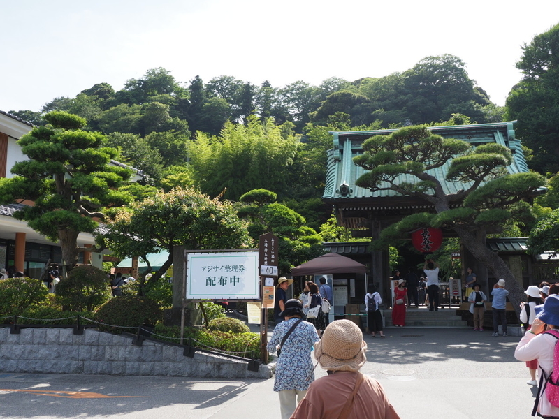 イメージ 9