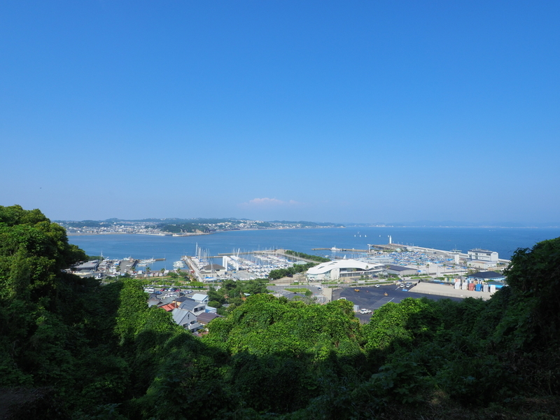 イメージ 9