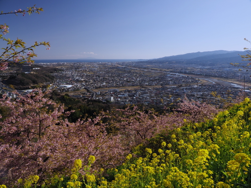 イメージ 20