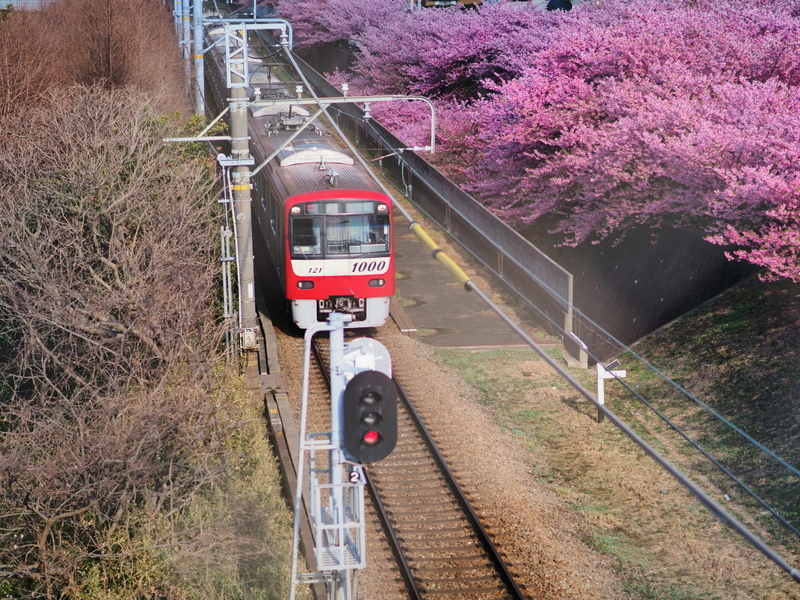 イメージ 15