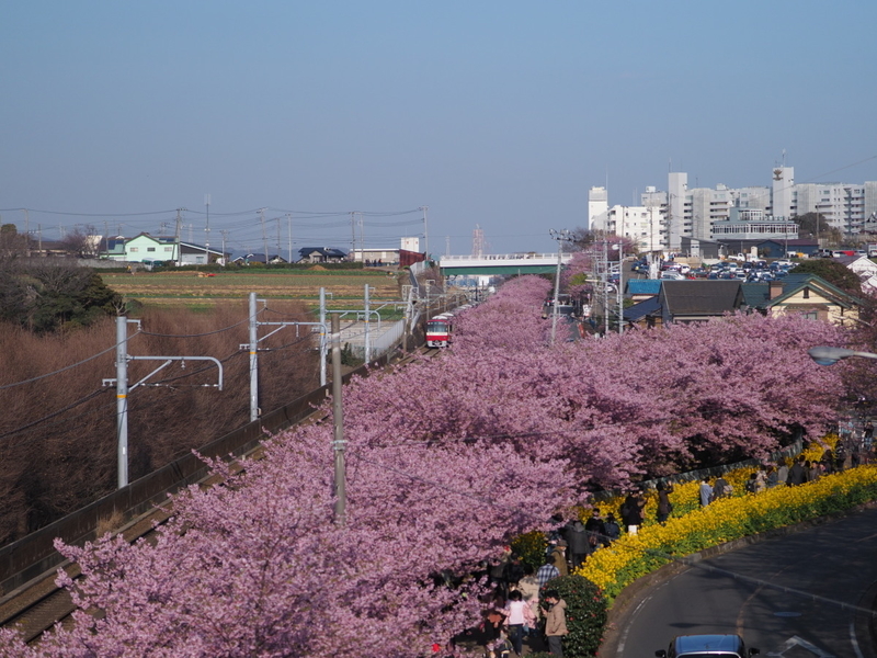 イメージ 16