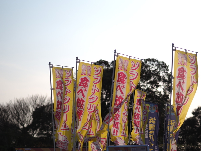 イメージ 22
