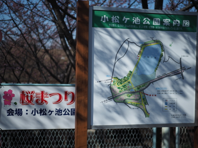イメージ 8