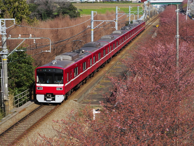 イメージ 9