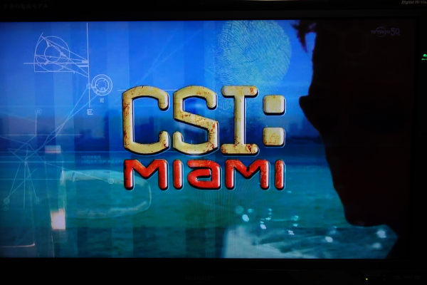 CSI：マイアミ10 ザ・ファイナル』の最終回を観た。 - 旧いま