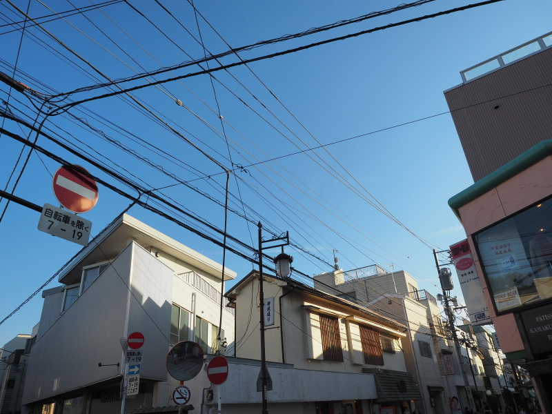 イメージ 15