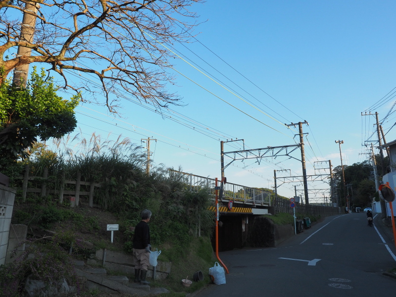 イメージ 17