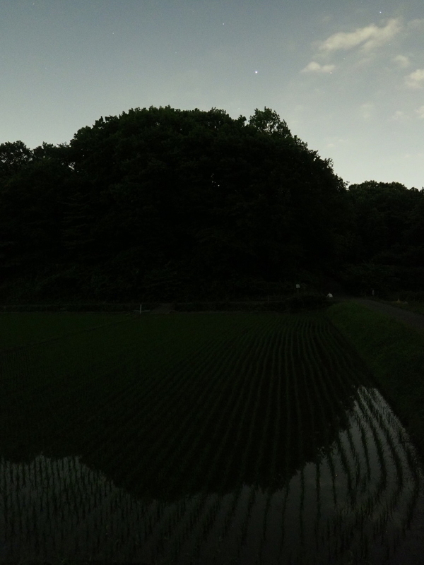 イメージ 4