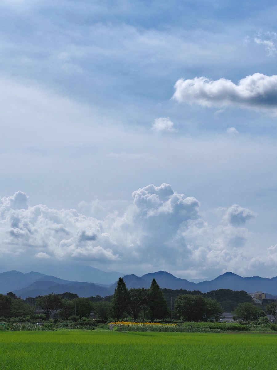 f:id:otaku4160:20190812233321j:plain f:id:otaku4160:20190812233321j:plain