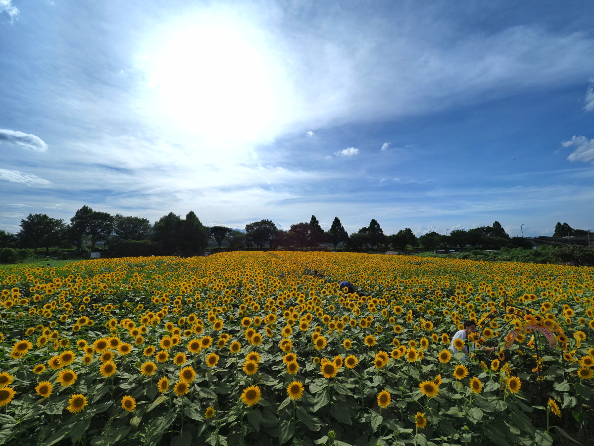 f:id:otaku4160:20190812233454j:plain f:id:otaku4160:20190812233454j:plain