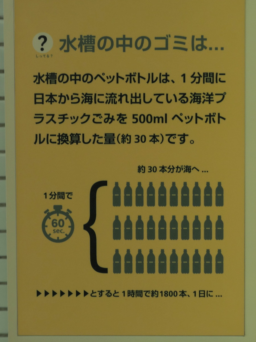 f:id:otaku4160:20190920001153j:plain f:id:otaku4160:20190920001153j:plain