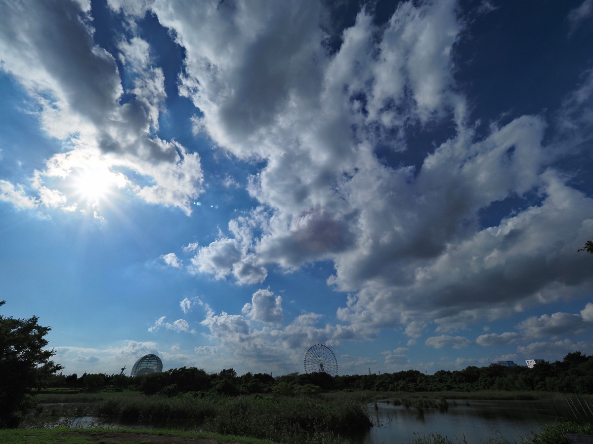 f:id:otaku4160:20190920234619j:plain f:id:otaku4160:20190920234619j:plain