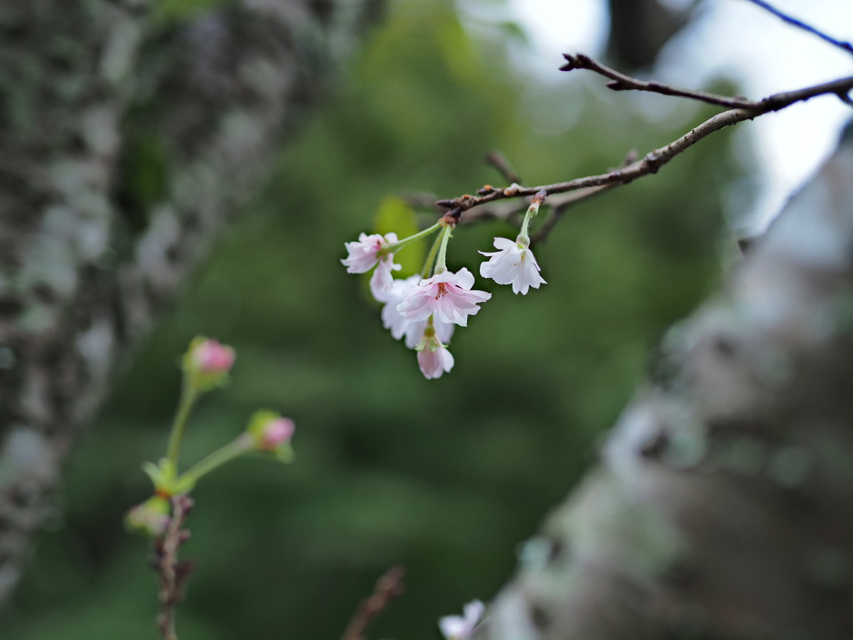 f:id:otaku4160:20190922235033j:plain f:id:otaku4160:20190922235033j:plain