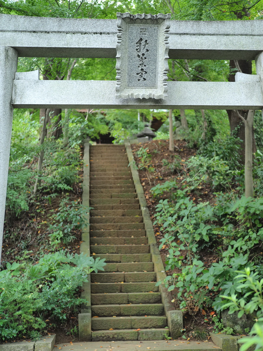 f:id:otaku4160:20190922235045j:plain f:id:otaku4160:20190922235045j:plain