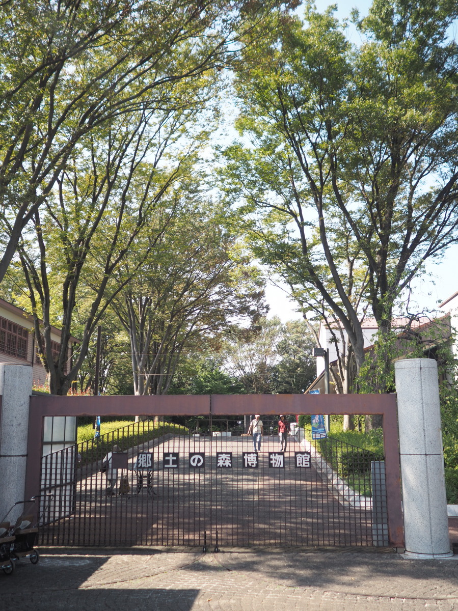 f:id:otaku4160:20190927232519j:plain f:id:otaku4160:20190927232519j:plain