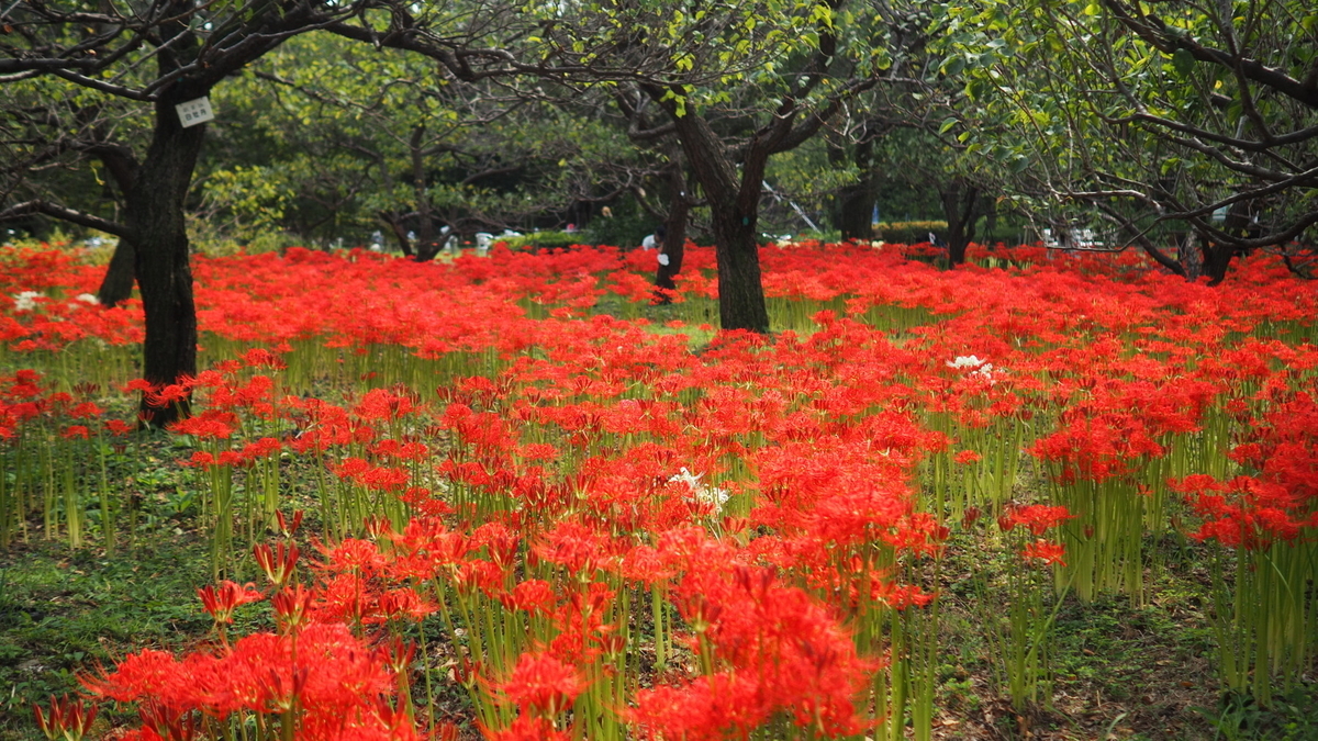 の 森 郷土 府中