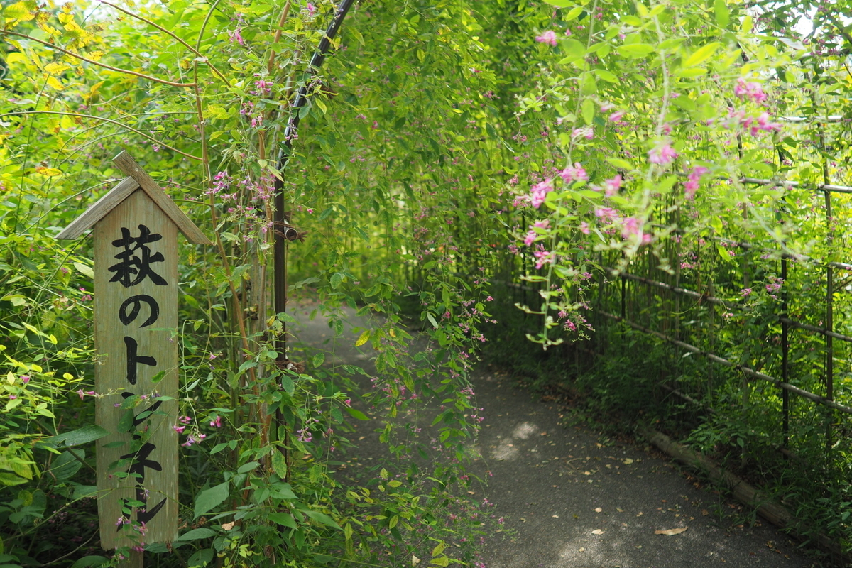 f:id:otaku4160:20190927232653j:plain f:id:otaku4160:20190927232653j:plain