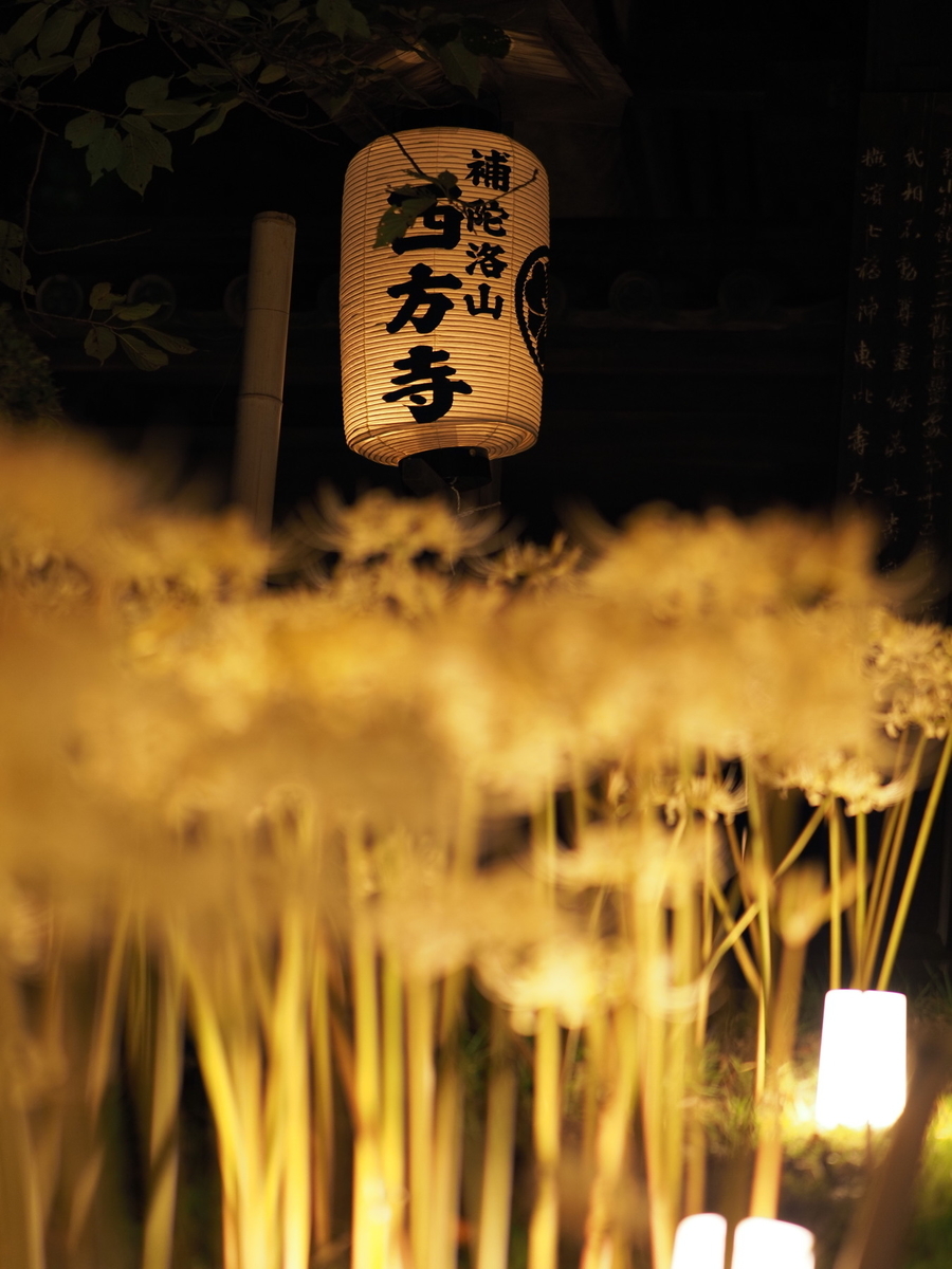f:id:otaku4160:20190928022626j:plain f:id:otaku4160:20190928022626j:plain