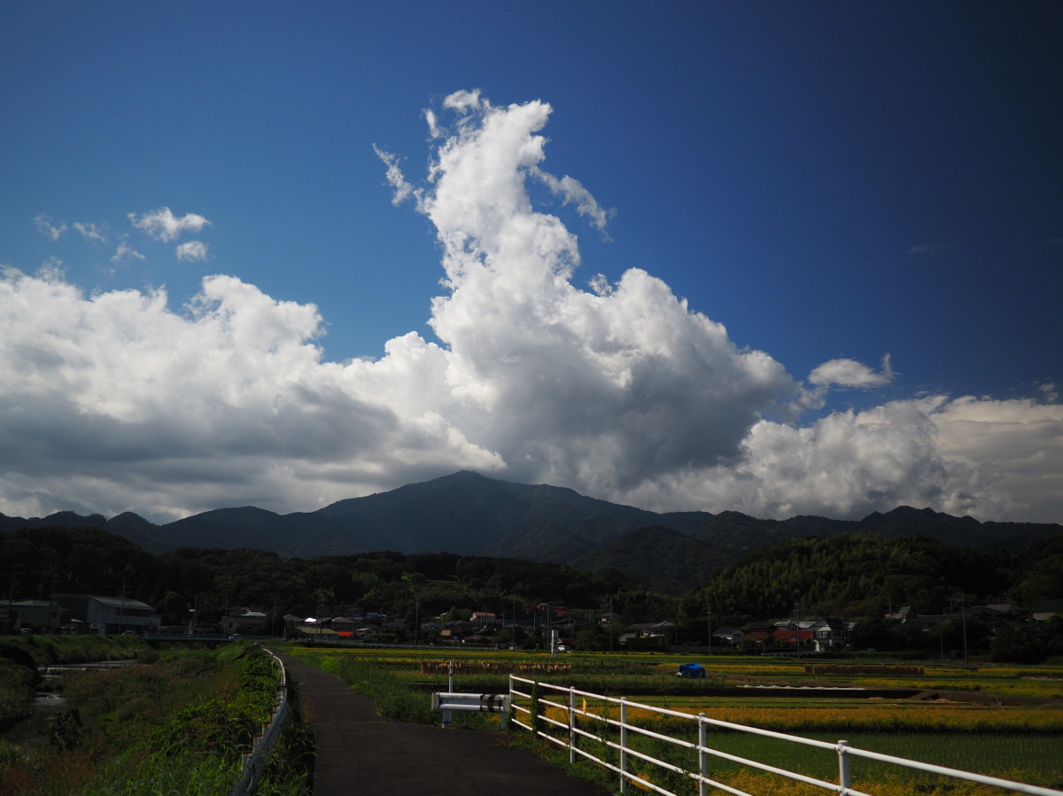 f:id:otaku4160:20191005132521j:plain f:id:otaku4160:20191005132521j:plain