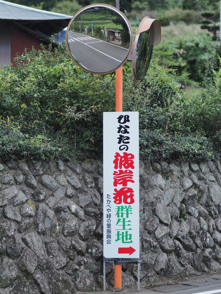 f:id:otaku4160:20191005132525j:plain f:id:otaku4160:20191005132525j:plain