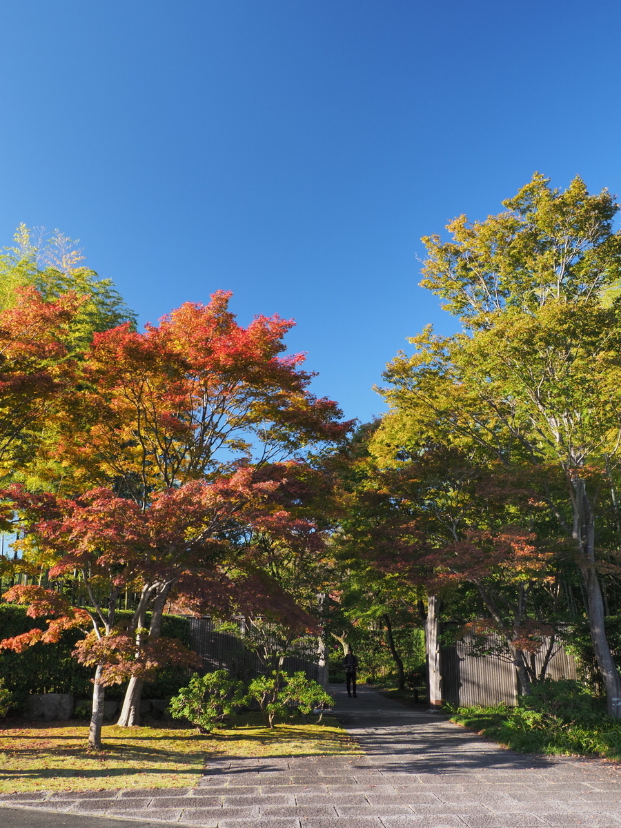f:id:otaku4160:20191113012951j:plain f:id:otaku4160:20191113012951j:plain