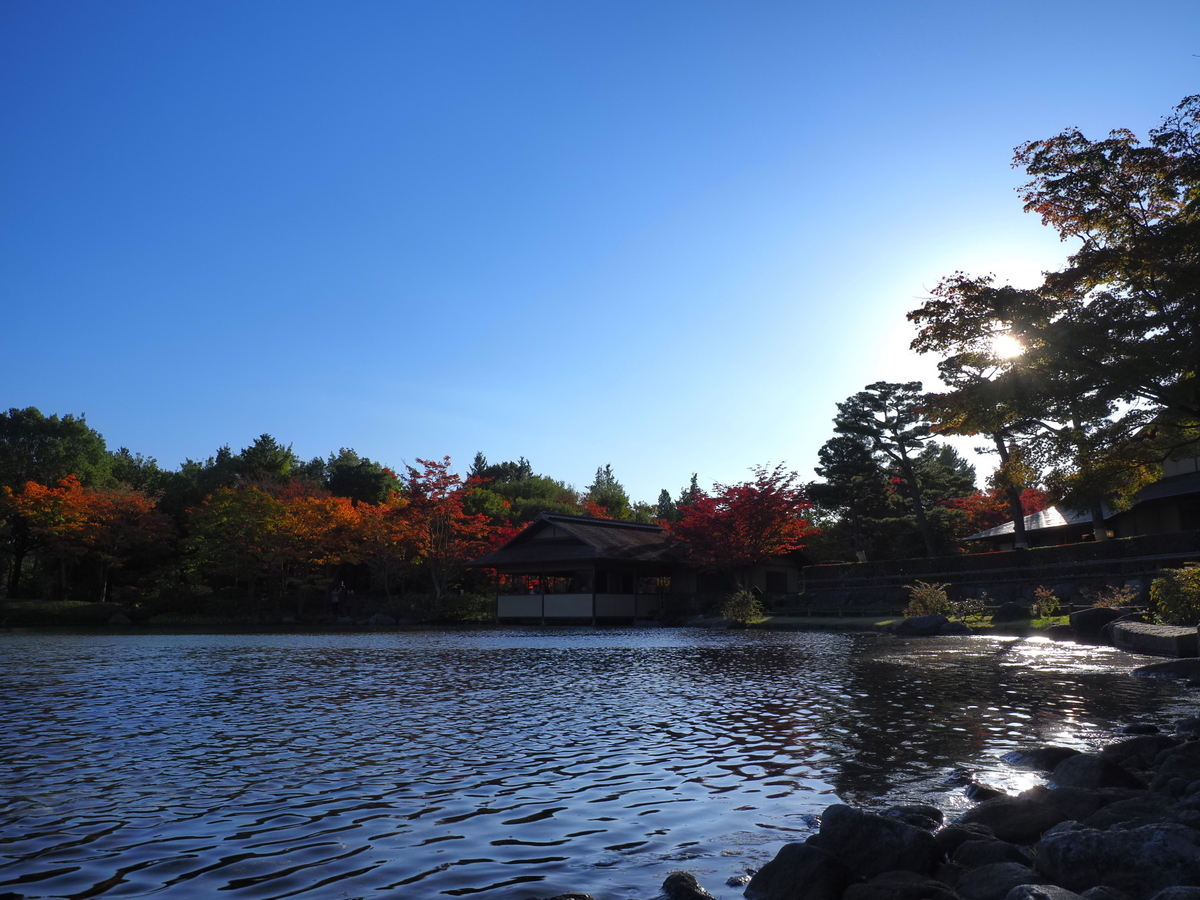 f:id:otaku4160:20191113013003j:plain f:id:otaku4160:20191113013003j:plain