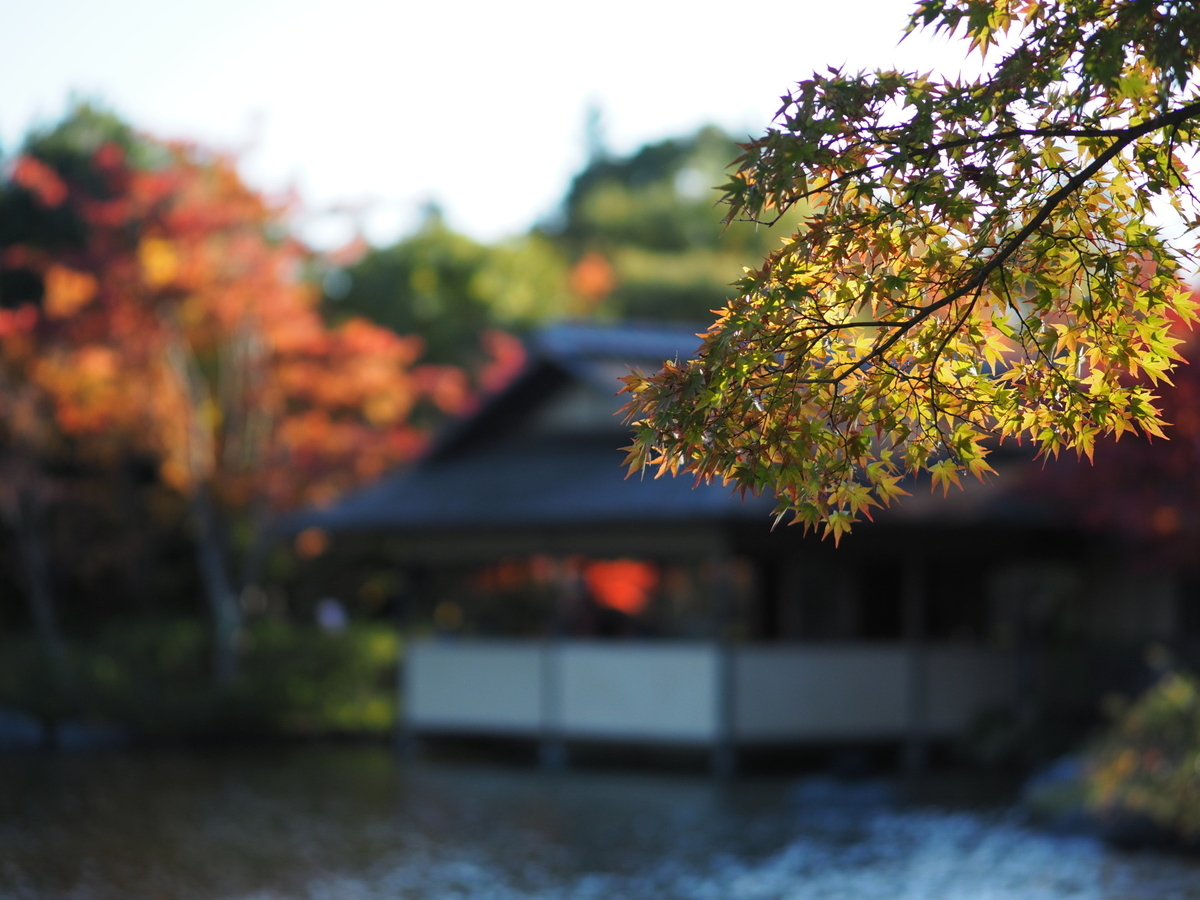 f:id:otaku4160:20191113013008j:plain f:id:otaku4160:20191113013008j:plain