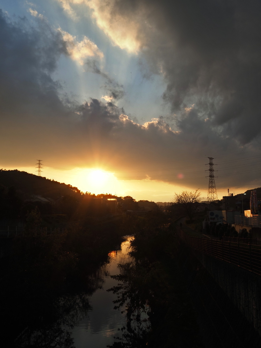 f:id:otaku4160:20191120002026j:plain f:id:otaku4160:20191120002026j:plain