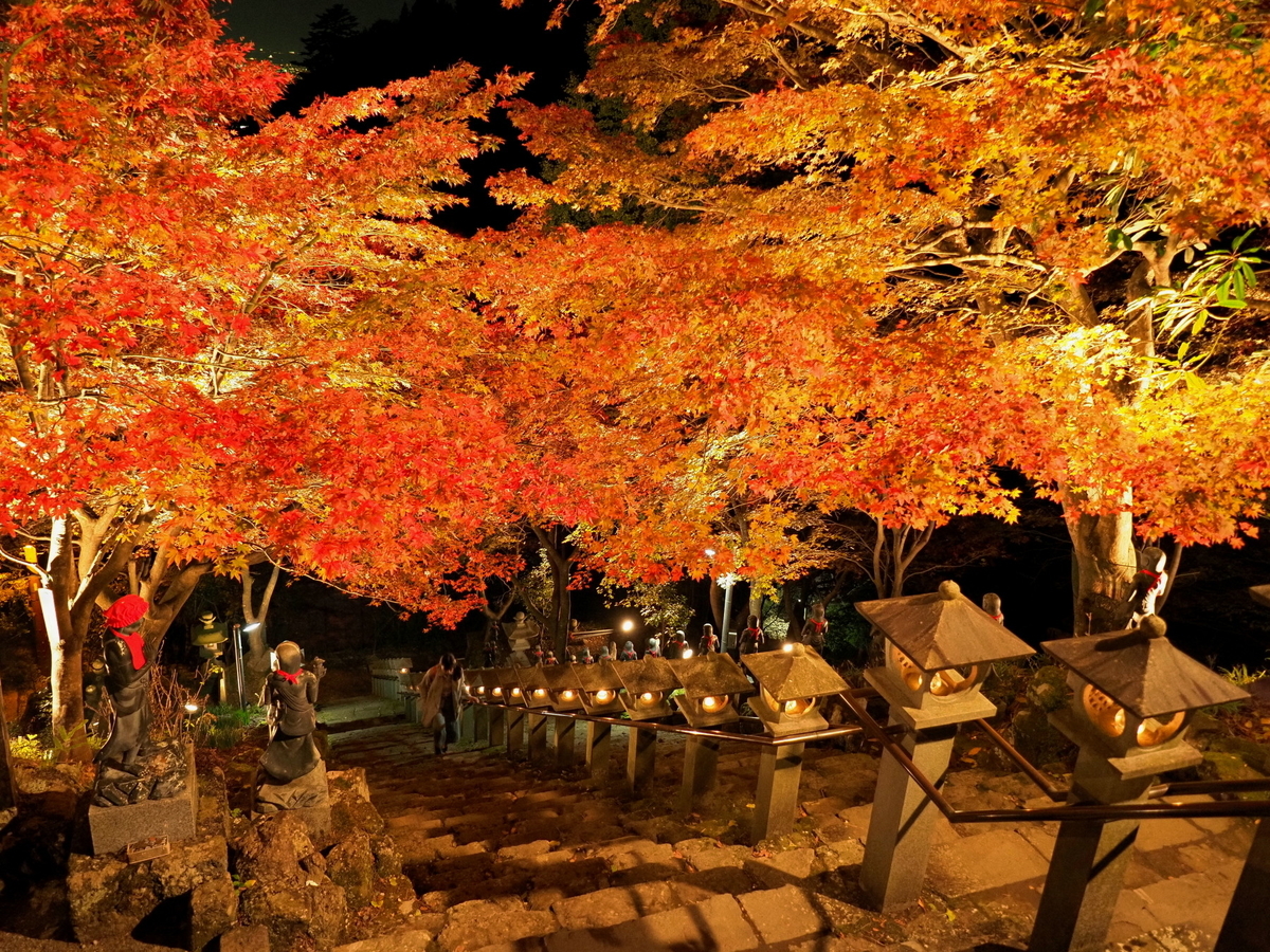 f:id:otaku4160:20191122020946j:plain f:id:otaku4160:20191122020946j:plain