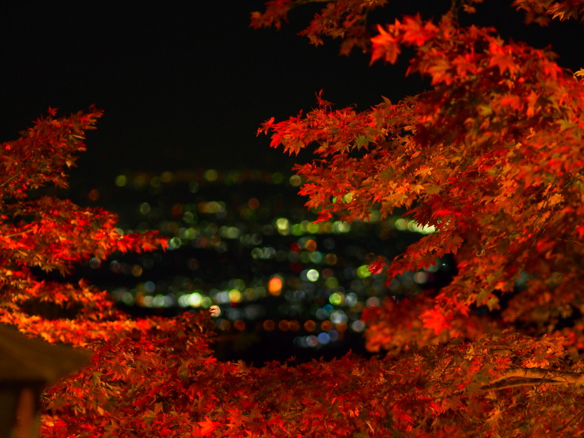 f:id:otaku4160:20191122020952j:plain f:id:otaku4160:20191122020952j:plain