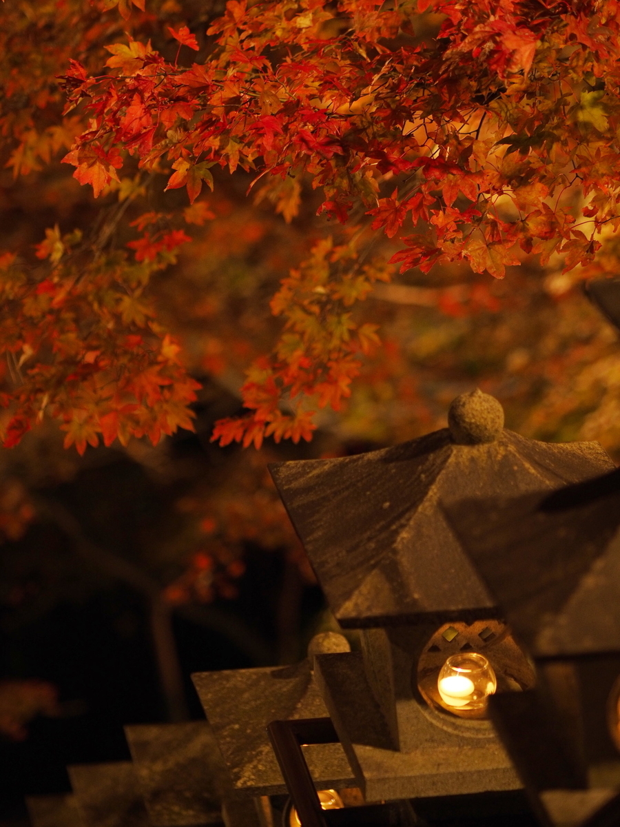 f:id:otaku4160:20191122021002j:plain f:id:otaku4160:20191122021002j:plain