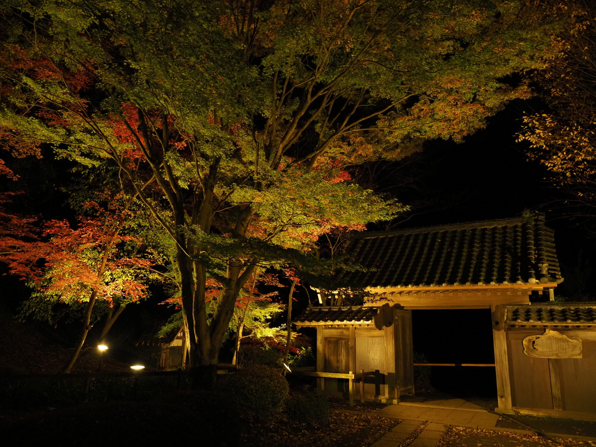 f:id:otaku4160:20191202002553j:plain f:id:otaku4160:20191202002553j:plain