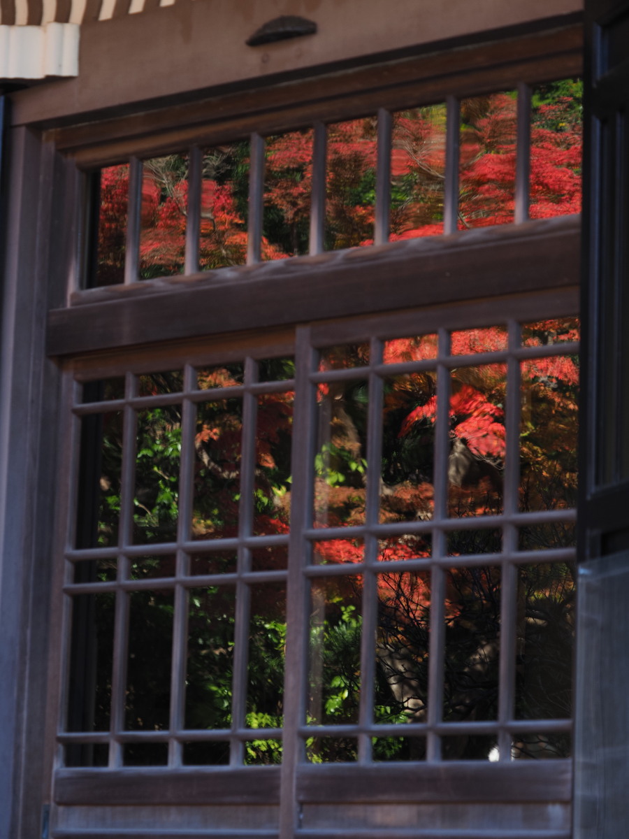f:id:otaku4160:20191204070620j:plain f:id:otaku4160:20191204070620j:plain