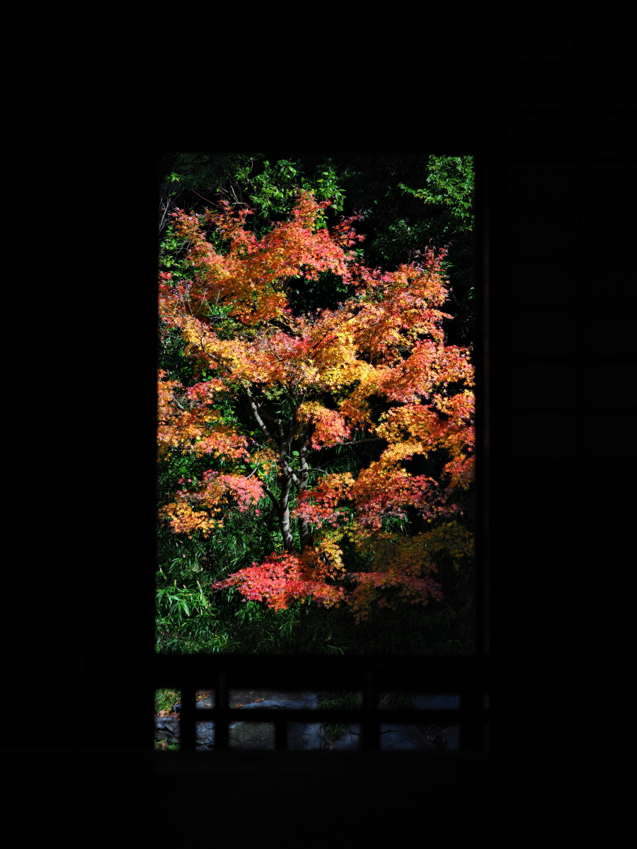 f:id:otaku4160:20191204070624j:plain f:id:otaku4160:20191204070624j:plain