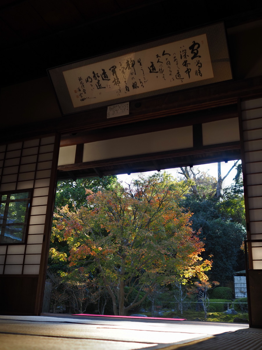 f:id:otaku4160:20191204070742j:plain f:id:otaku4160:20191204070742j:plain