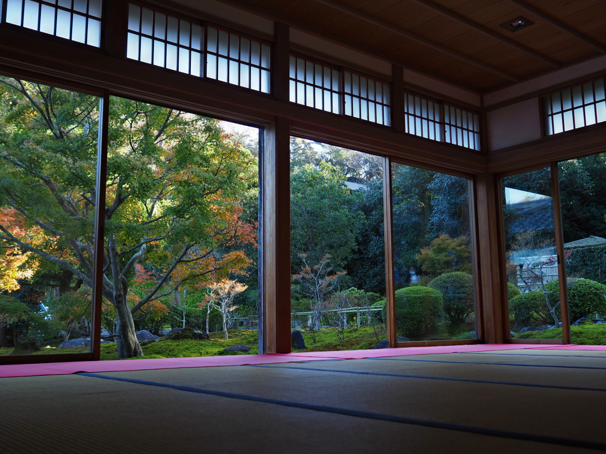 f:id:otaku4160:20191204070746j:plain f:id:otaku4160:20191204070746j:plain