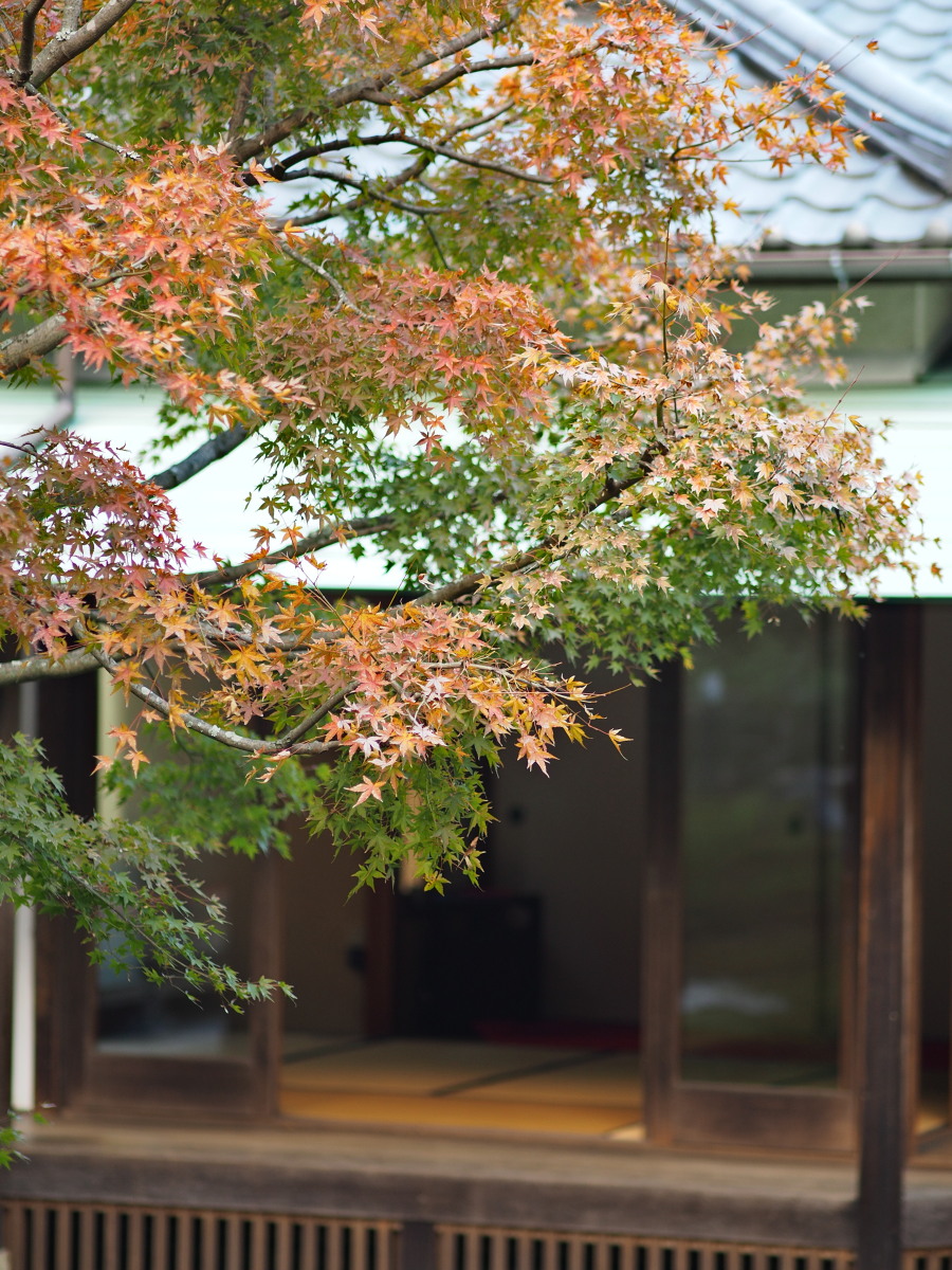 f:id:otaku4160:20191204070819j:plain f:id:otaku4160:20191204070819j:plain