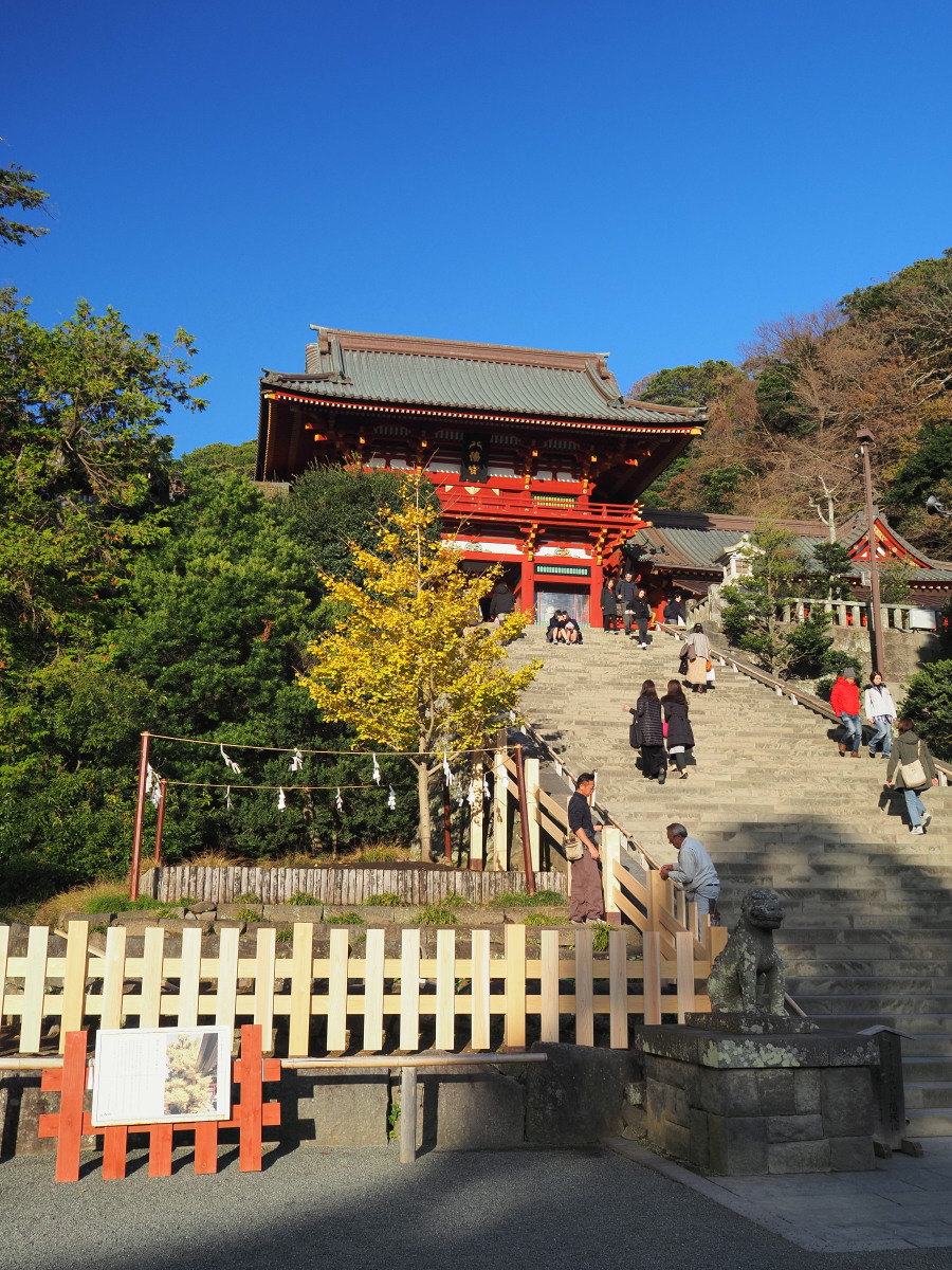 f:id:otaku4160:20191204070823j:plain f:id:otaku4160:20191204070823j:plain