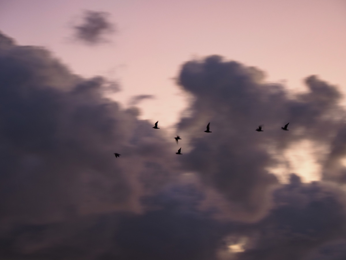 f:id:otaku4160:20191204070904j:plain f:id:otaku4160:20191204070904j:plain