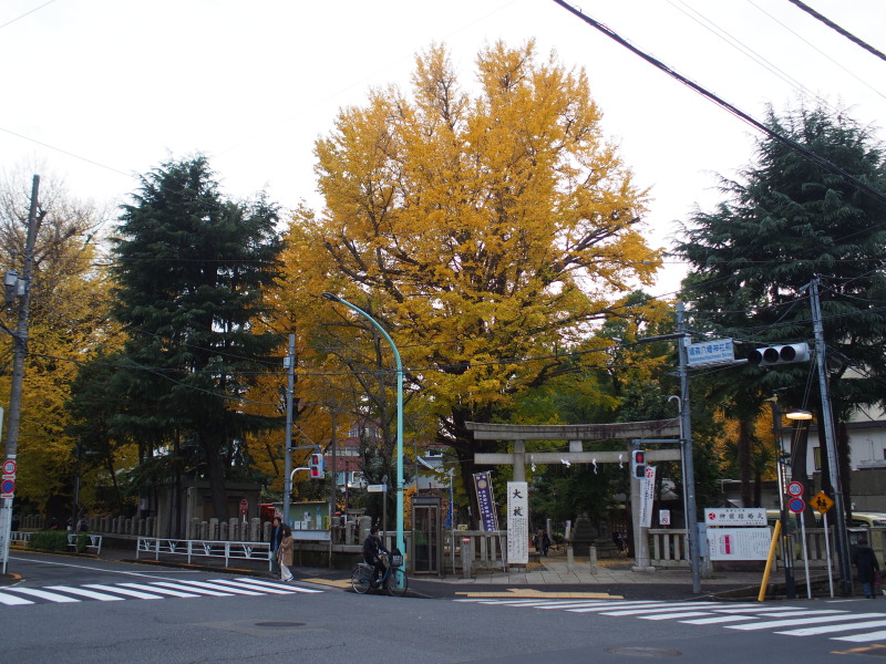 f:id:otaku4160:20191211033551j:plain f:id:otaku4160:20191211033551j:plain