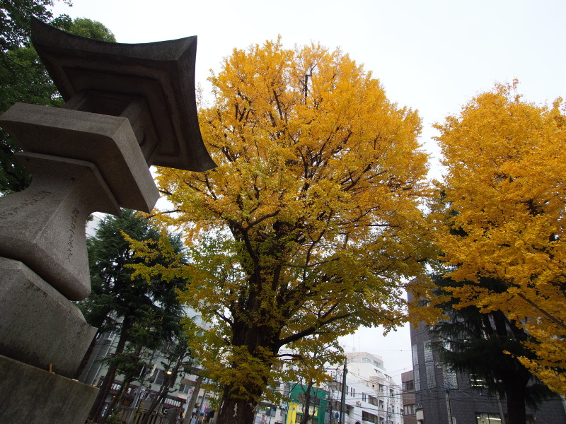 f:id:otaku4160:20191211033555j:plain f:id:otaku4160:20191211033555j:plain