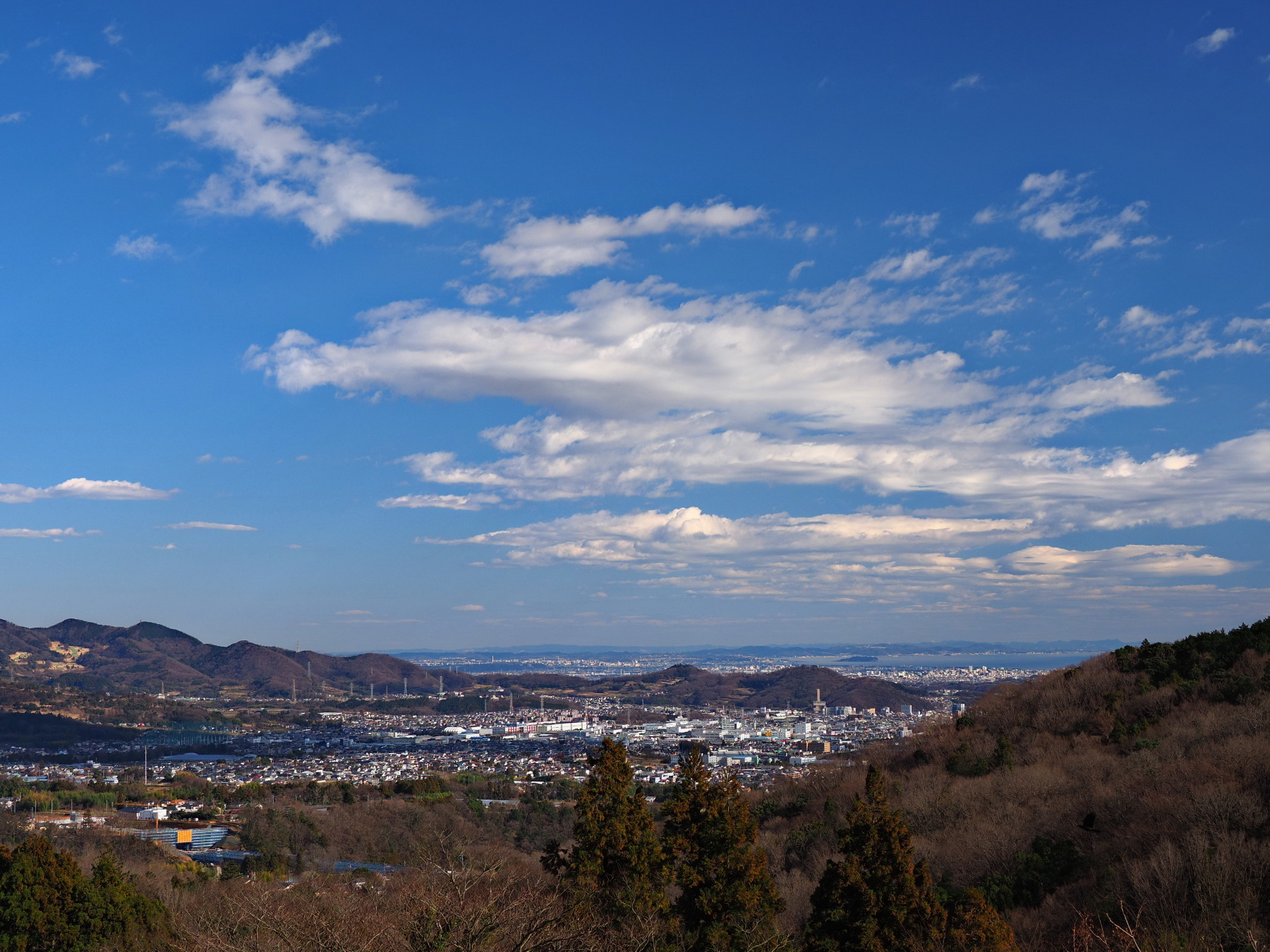 f:id:otaku4160:20200201225546j:plain f:id:otaku4160:20200201225546j:plain