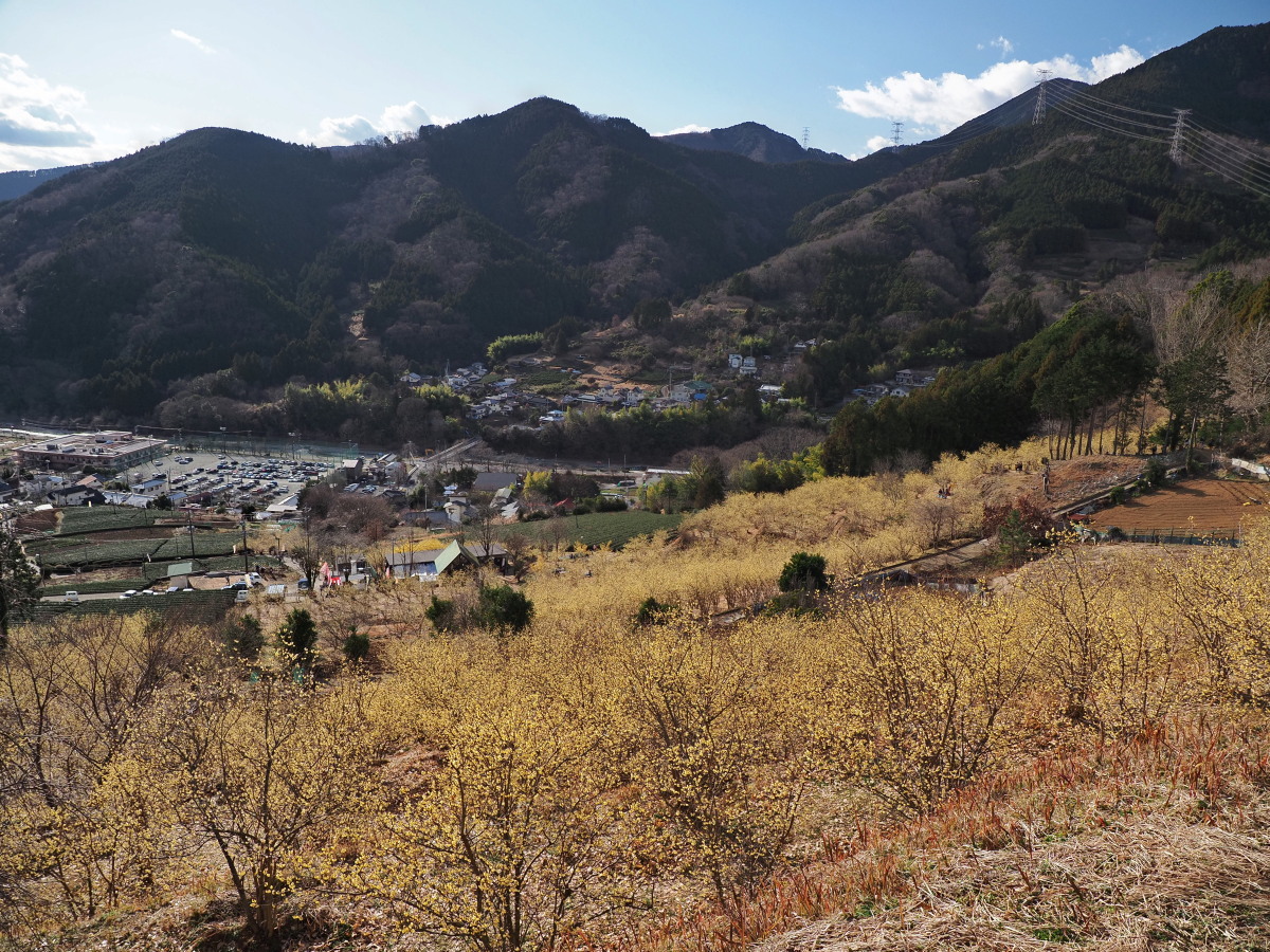 f:id:otaku4160:20200201225603j:plain f:id:otaku4160:20200201225603j:plain